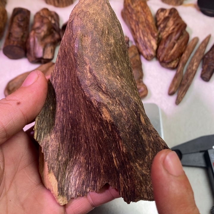 沉香沉香碎屑文莱