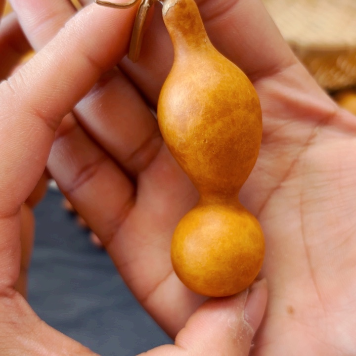 ✨***弟88888888888888888