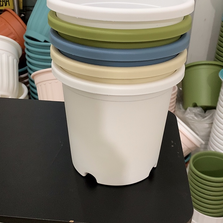 四季口22高20混色5个