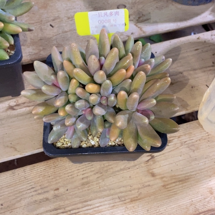 这个点睡起来都会梦中