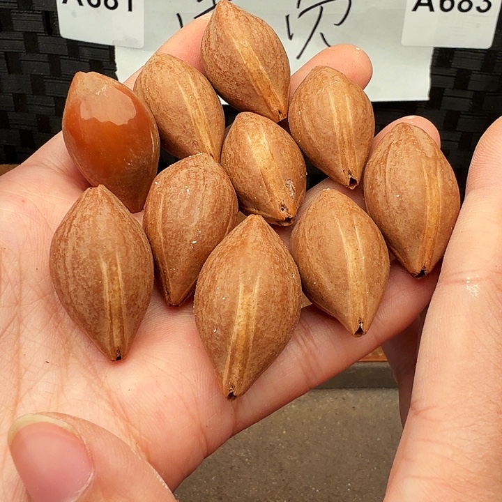 手串/手链橄榄核橄榄