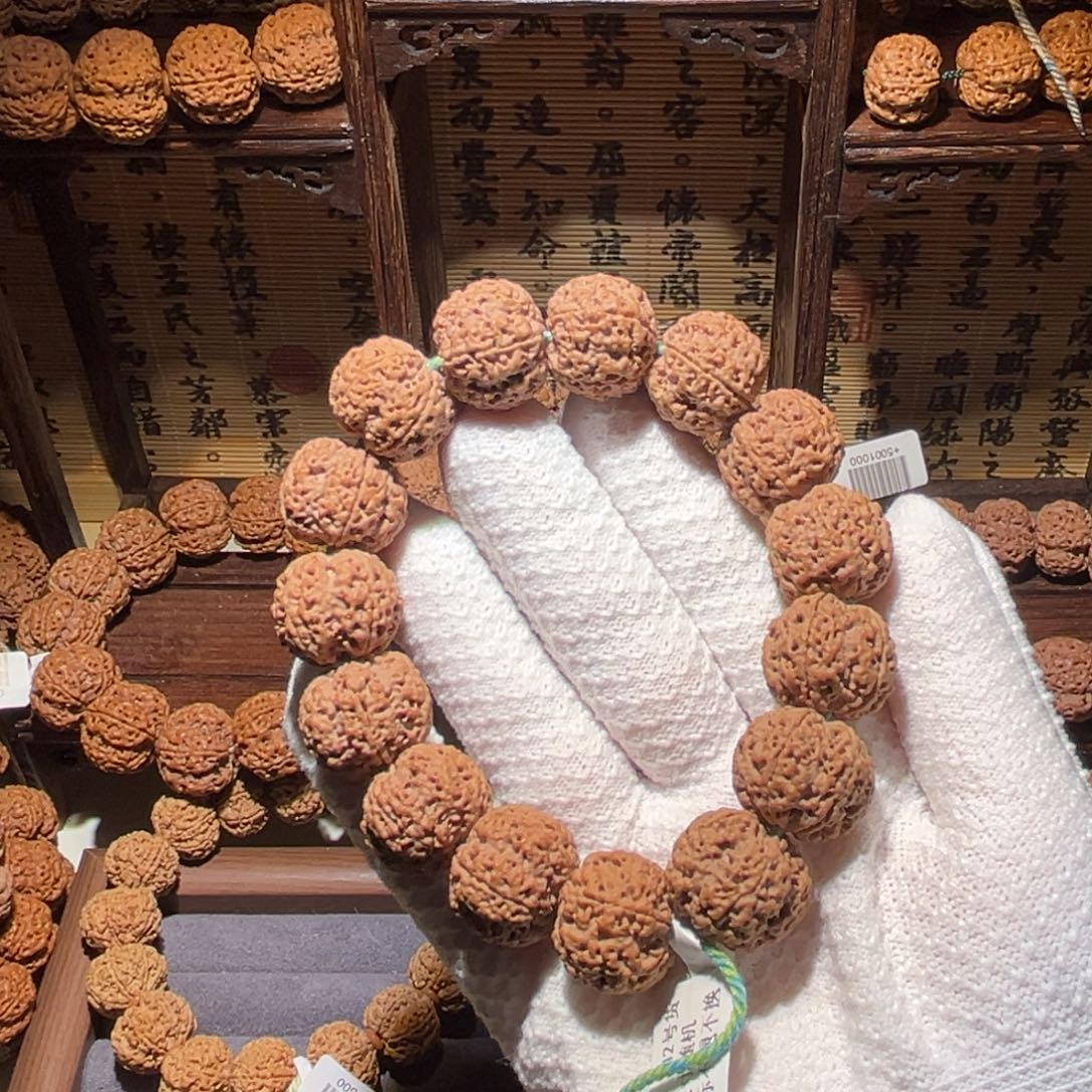 手串金刚菩提20肉