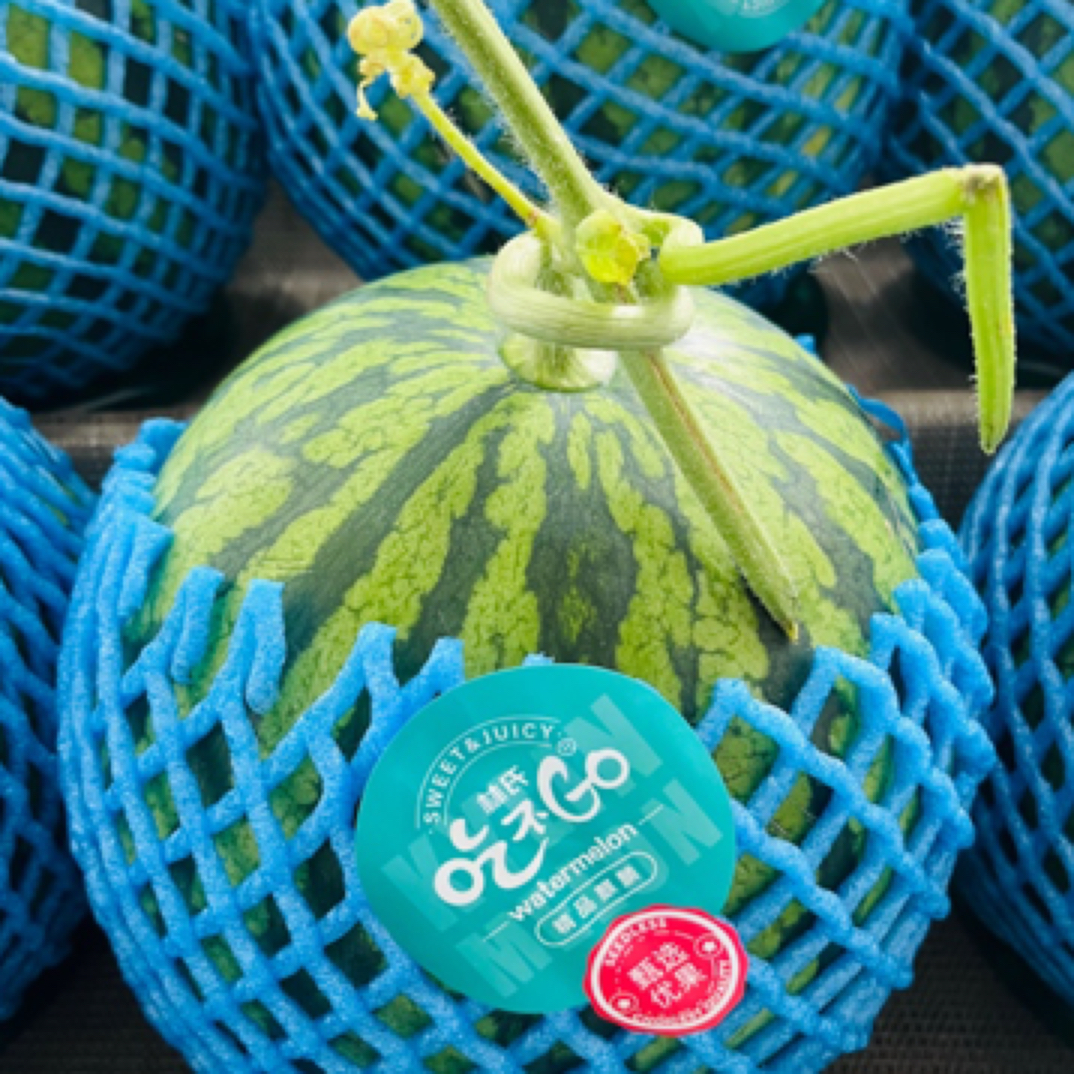 【西瓜够甜】林氏吃不够麒麟西瓜 皮薄肉多 果肉细腻甘甜 约10斤/个西瓜同城配江苏省