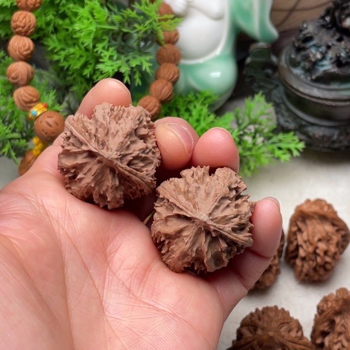 野生灯笼文玩核桃32尺寸