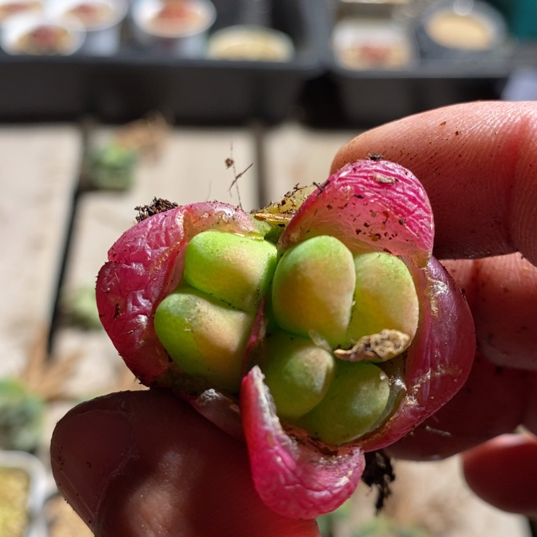 蓝*14148一个一个一个