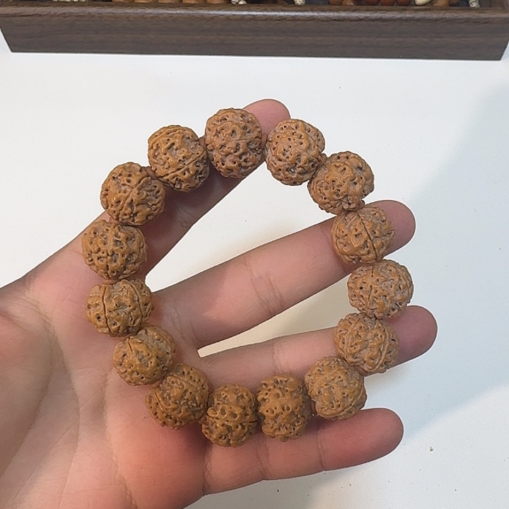 金刚菩提有要的来