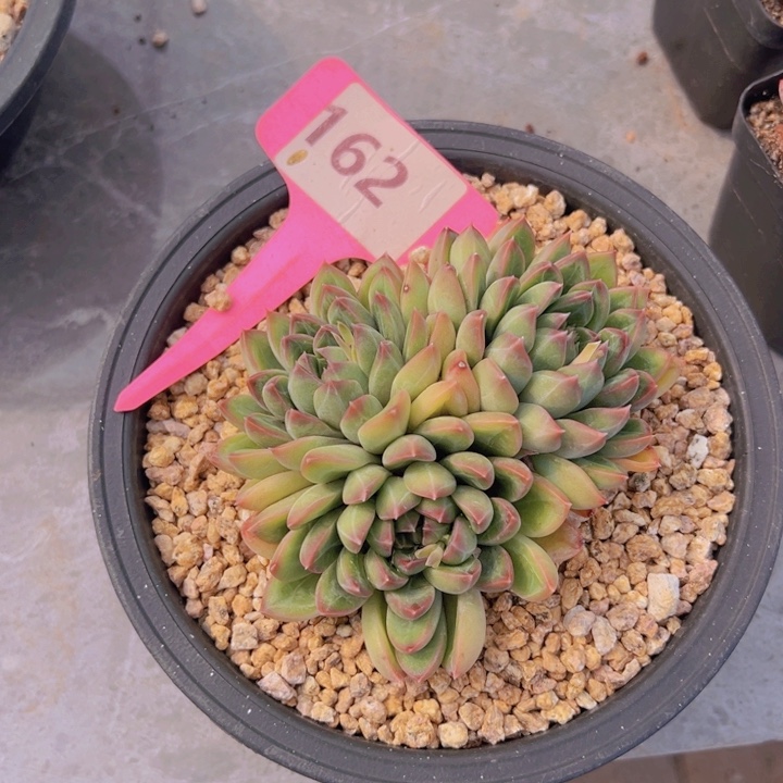 健健康康平平安安