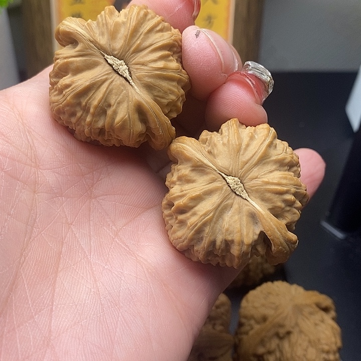 大叶紫檀（黑酸枝木类）白师子40