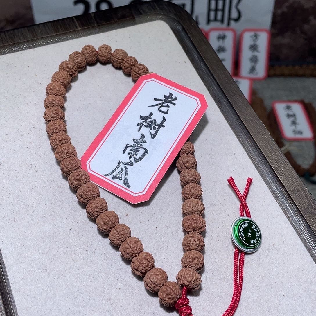 金刚菩提手串199老树南瓜