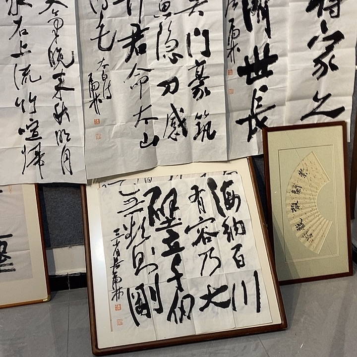 随***安书法郑虎林书法斗方