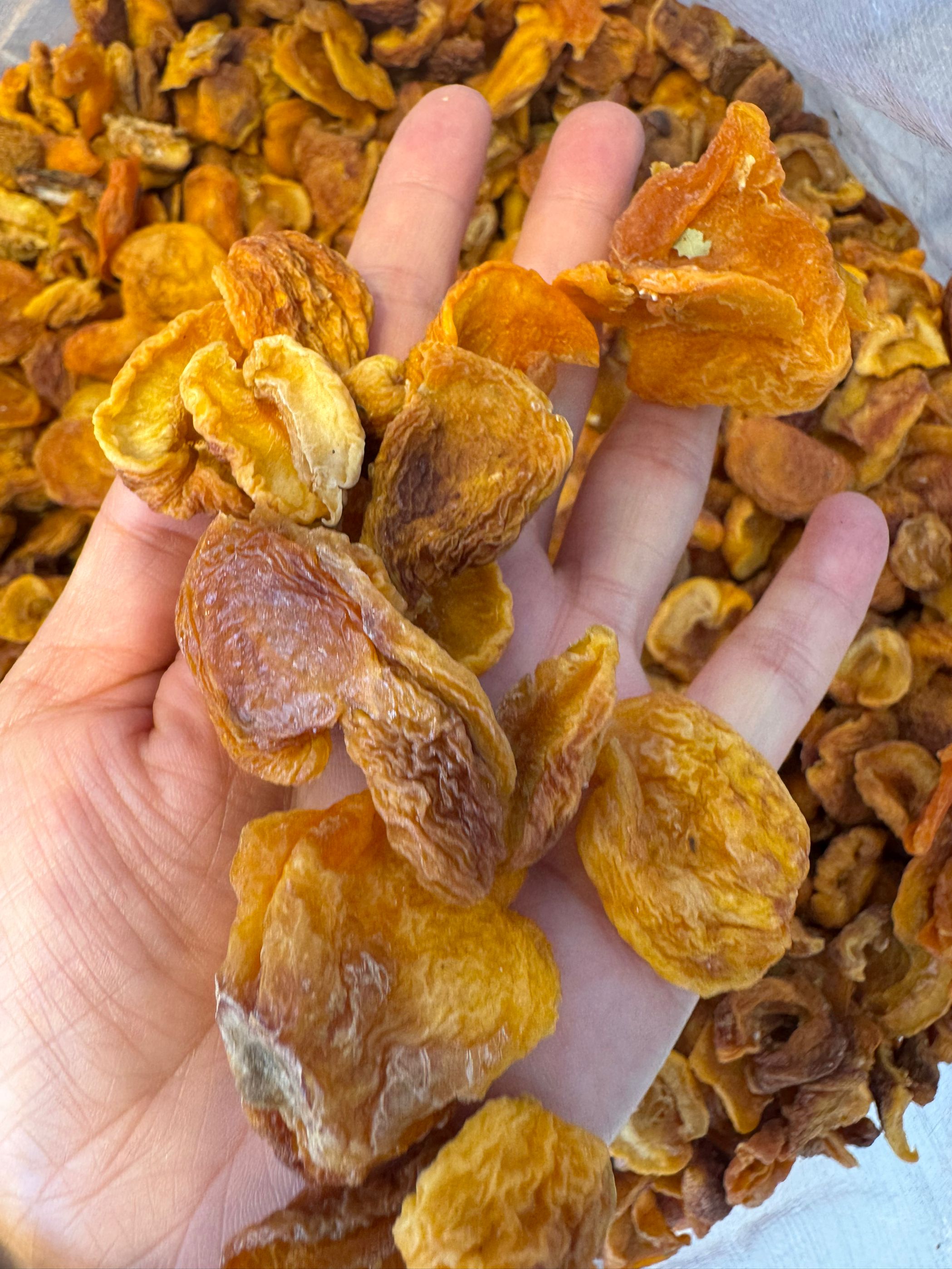 吐鲁番杏皮子挺酸的2025年新货新疆直发全国包邮