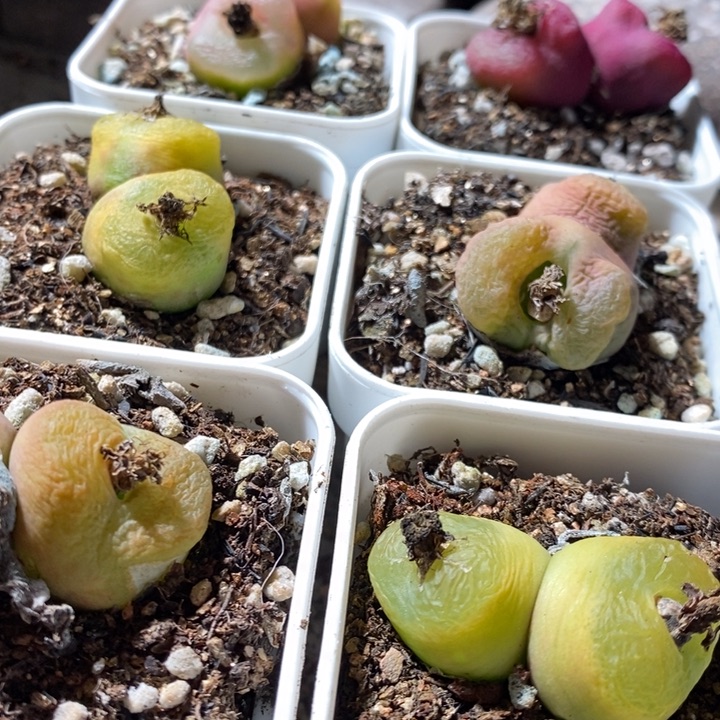 30124一组一组一组