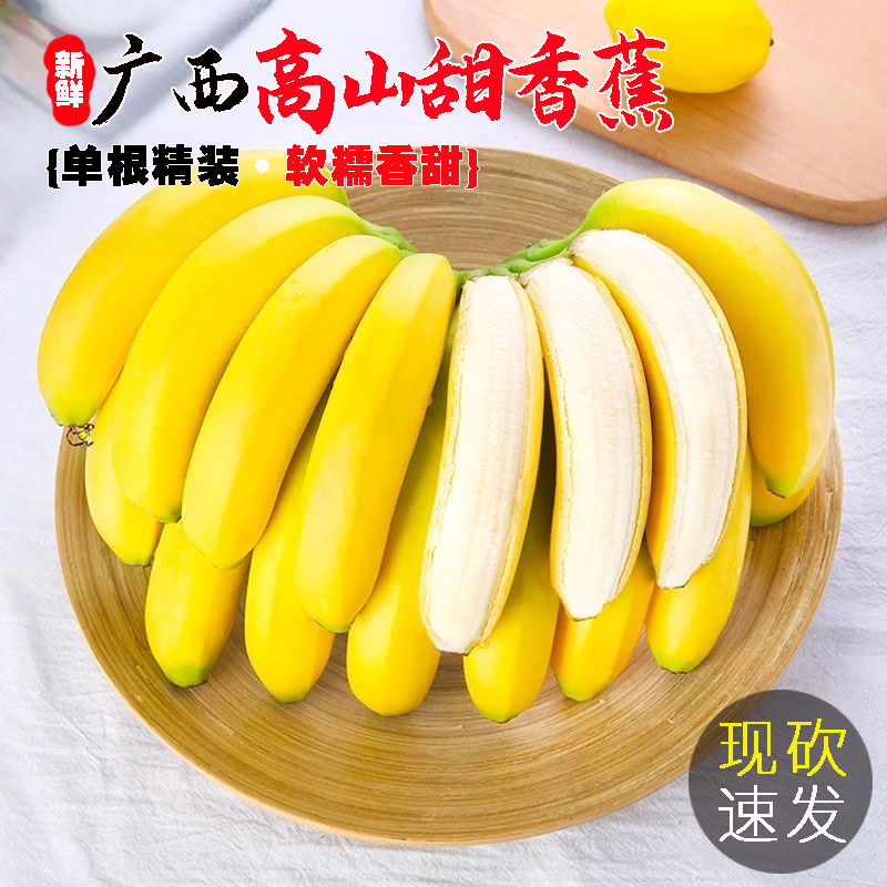 [官补福利]广西高山甜香蕉5/9斤当季新鲜现摘香甜软糯水果大芭蕉