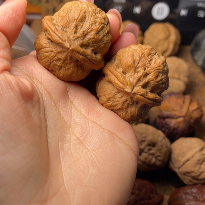 小***景如图所示一物一拍99