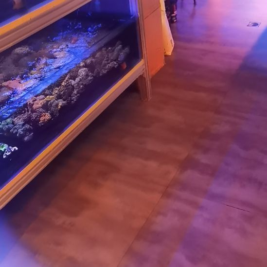 角龙1，黄魔3，鹦鹉龙1，飘飘1，蓝点吊1，榔头1