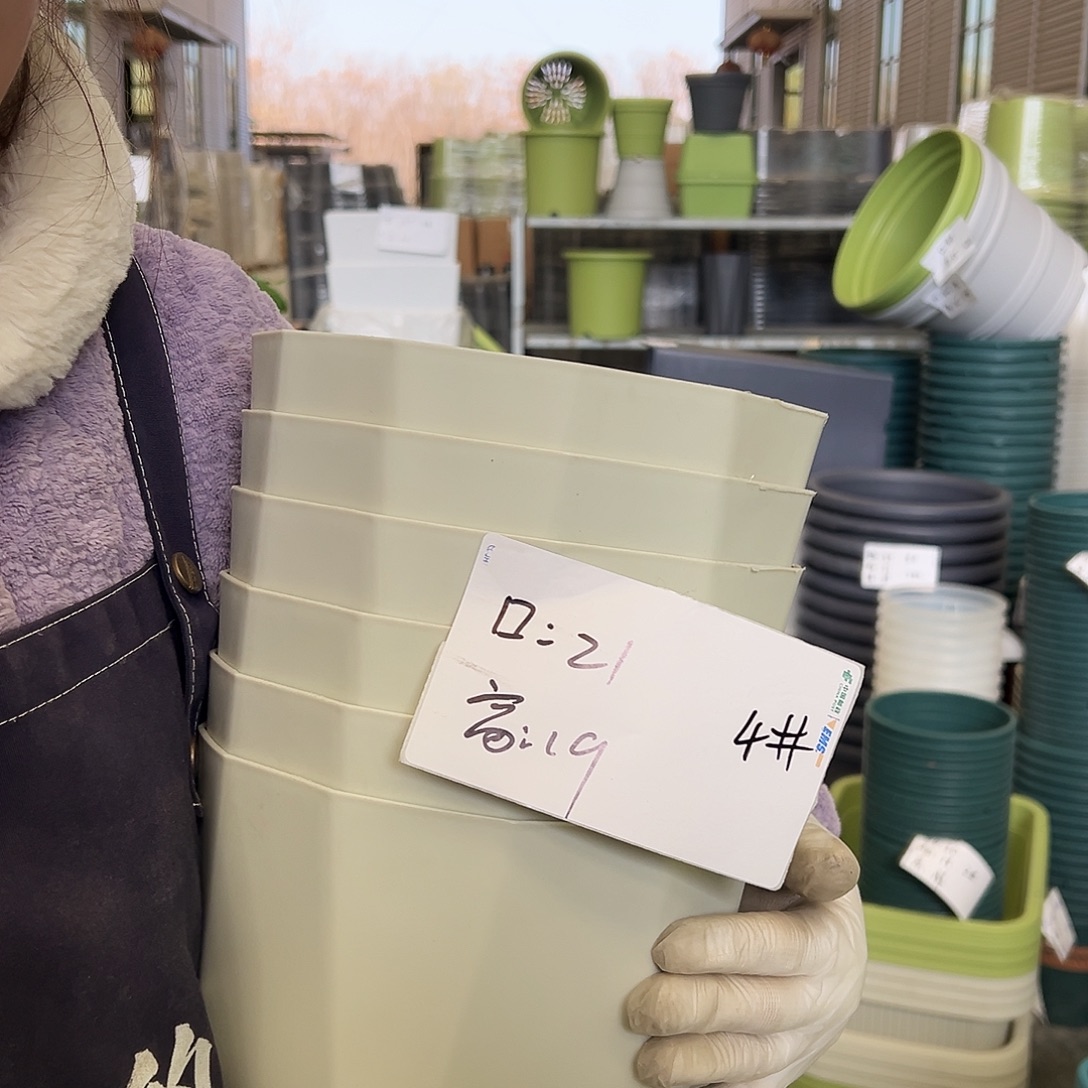 瑕疵雅典盆4#米白6个无托