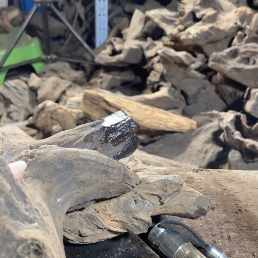 十***思贡木手串私人定制