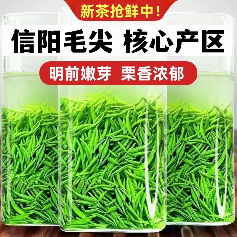 毛尖绿茶信阳毛尖2025新茶雨前高山嫩芽500g浓香耐泡型散装春茶叶