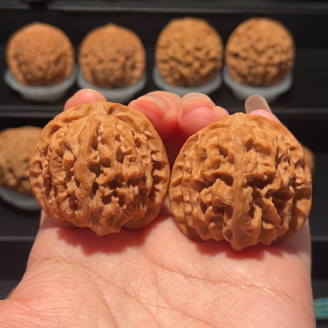 全品，原桩，39苹果园249