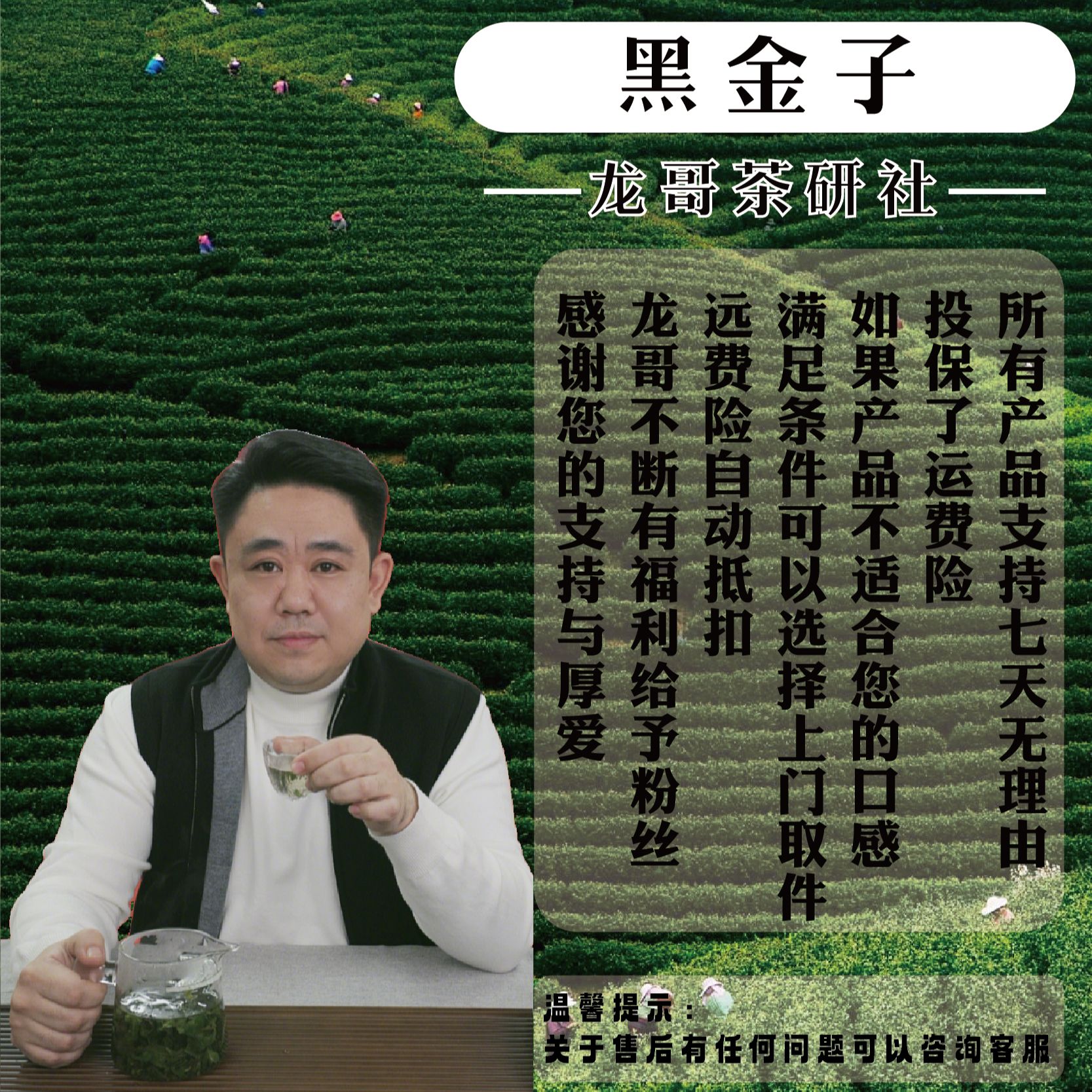 [龙哥说茶]茶香满园 黑金子