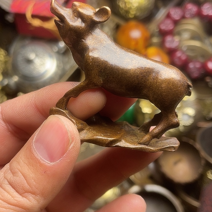 健健康康快快乐乐