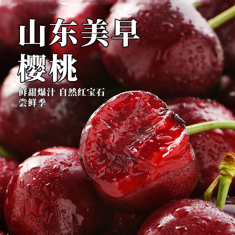 冷链直发山东美早樱桃新鲜水果甜樱桃当季水果脆甜现摘现发