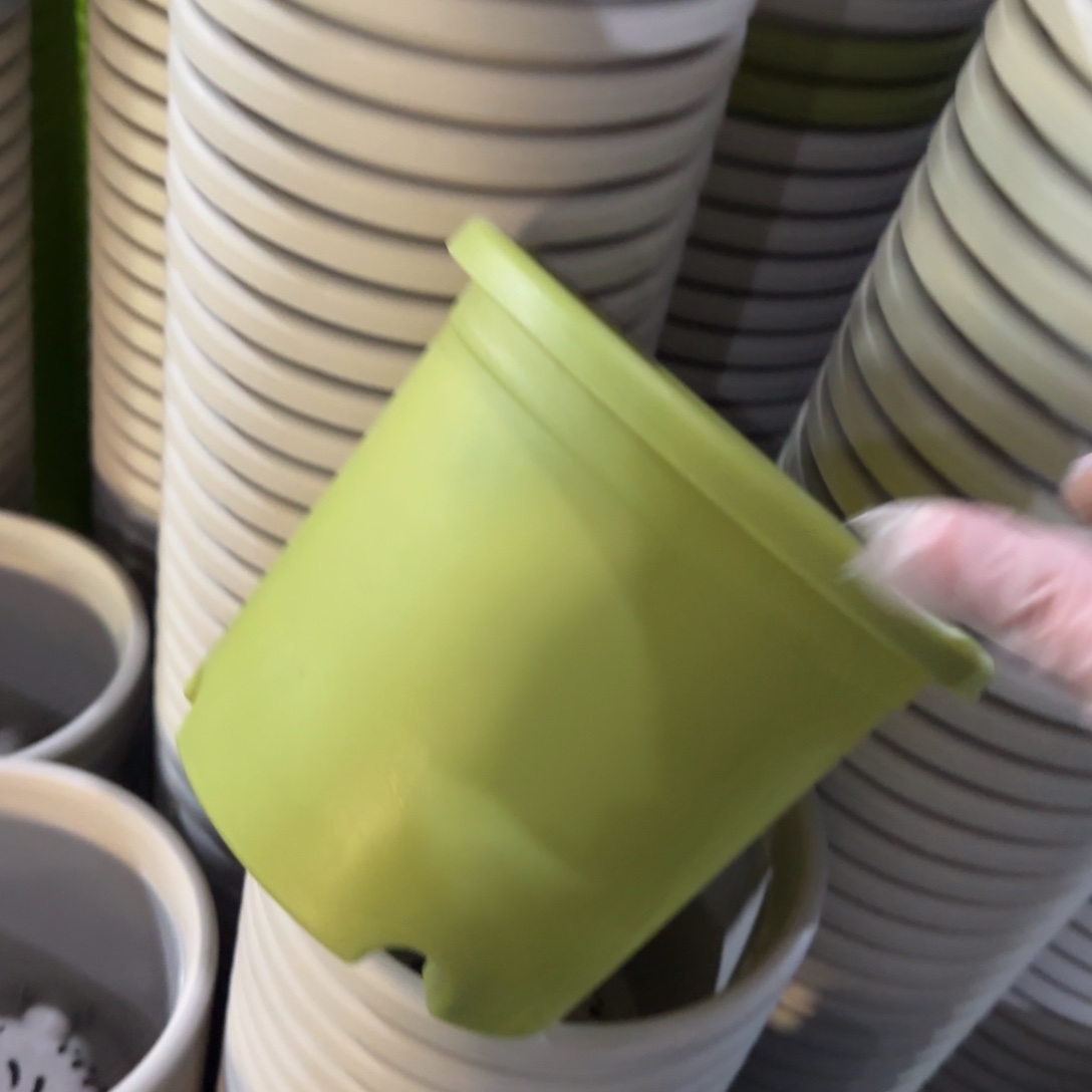 树脂特价2#无拖果绿13个