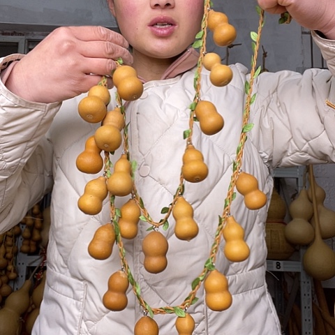 天然植物葫芦文玩