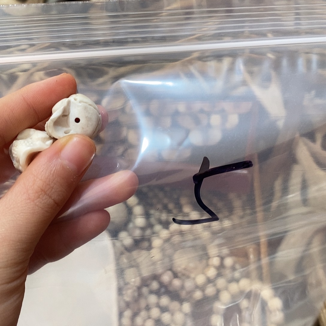 *****非金属鹿鹿角鹿角鹿角