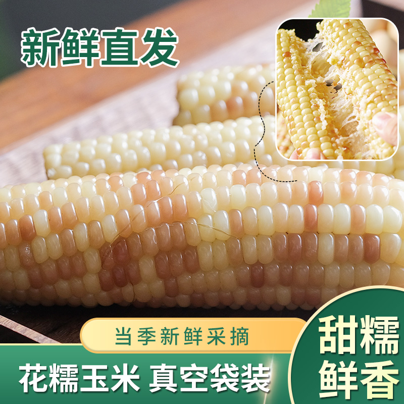 响垦臻品 花糯玉米 真空锁鲜