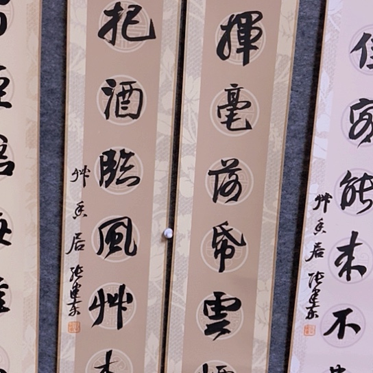 书法张建东老师书法作品