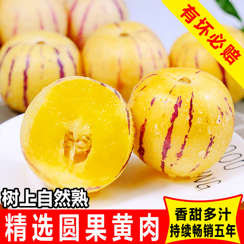 【顺丰快递】正宗云南石林人参果黄肉圆果树上熟新鲜清甜多汁水果