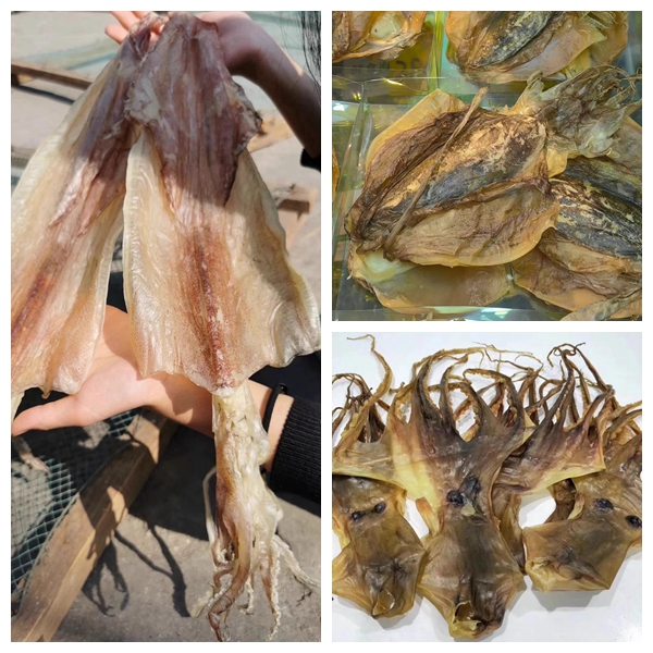 淡干船晒鱿鱼干墨鱼干章鱼干渔民自晒金蚝干