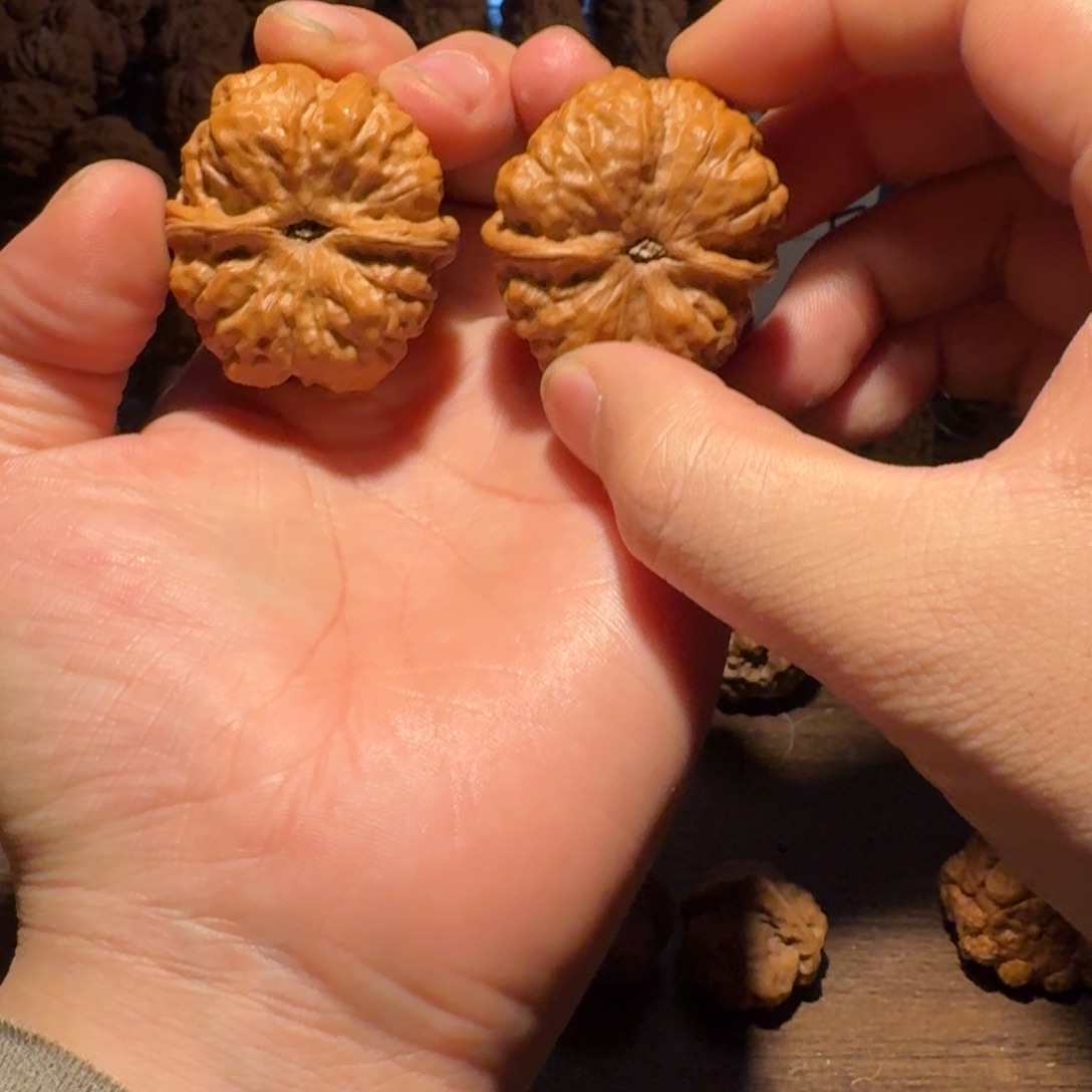 破***堂吊坠文玩核桃蛤蟆的眼睛是真的好看啊