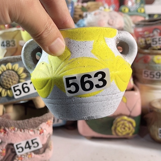 红陶多肉植物花盆