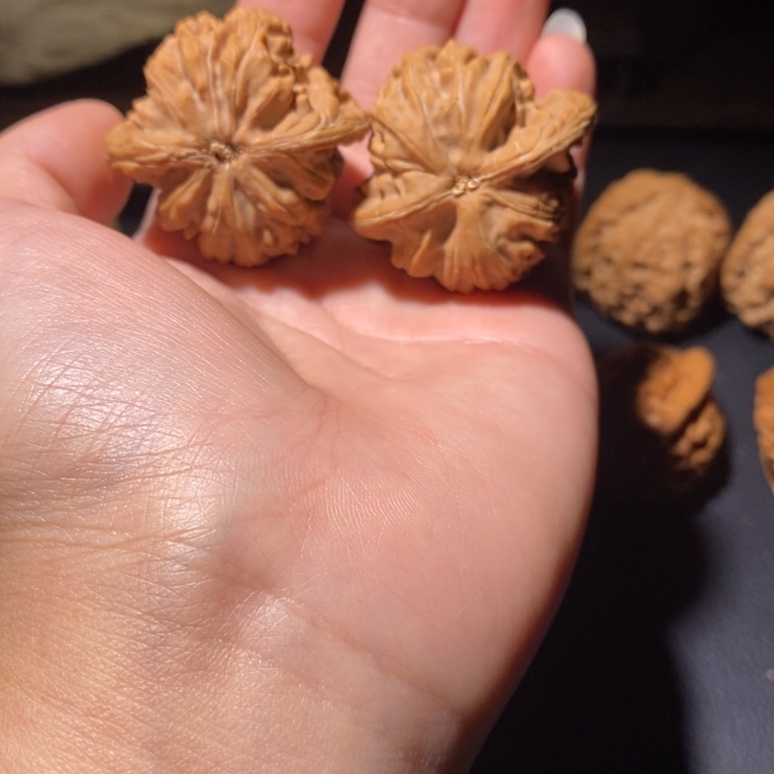 *****吊坠文玩核桃野虎