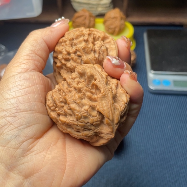 宽***巷核桃51龙鼎全品无修