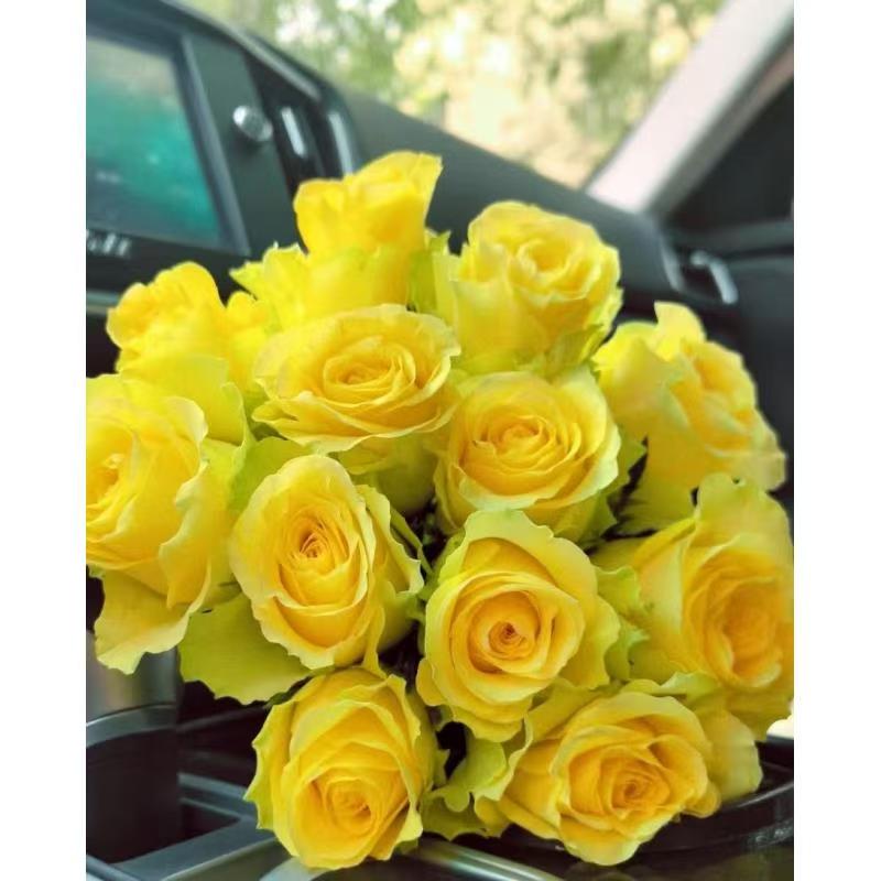 鲜花【浪漫沙滩玫瑰】同一地址两单升级冷链--到货先醒花