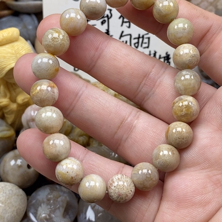 硅化珊瑚（珊瑚玉）未镶嵌颈饰