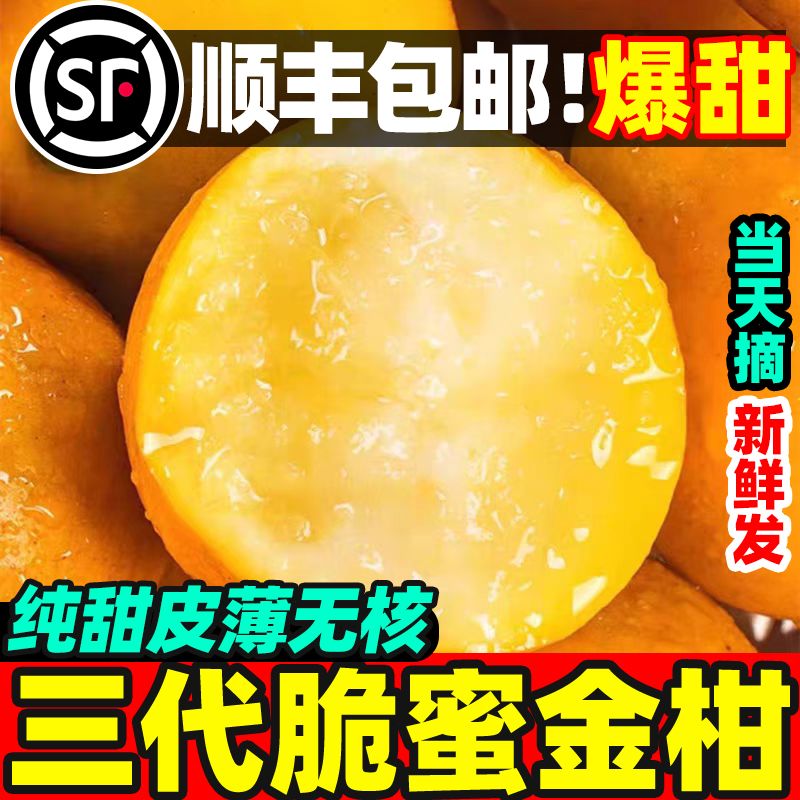 【三代脆蜜金柑】正宗广西三代脆蜜金桔鲜果当季水果新鲜现摘批发