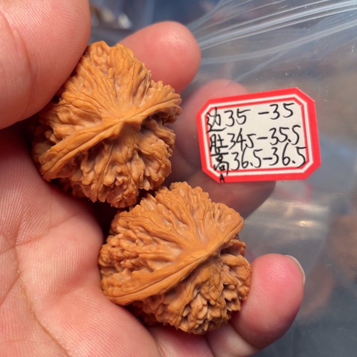 一***长把件桃核骨蝉野生