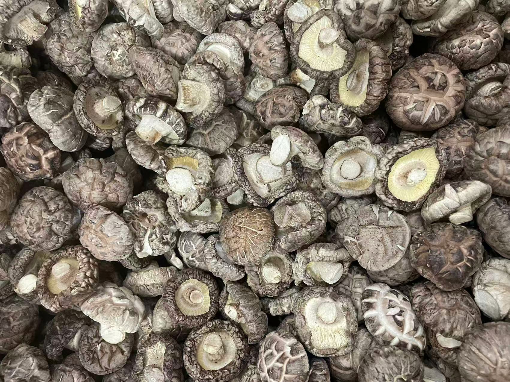 【普源优选】花菇干货