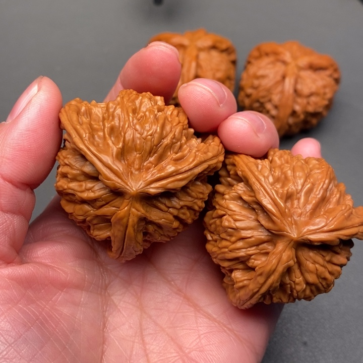 杨***五木质类核桃核桃核桃