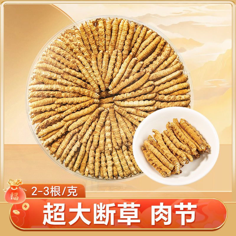 【超大断草】冬虫夏草断草 正宗头期断虫草精选 自用泡酒性价比