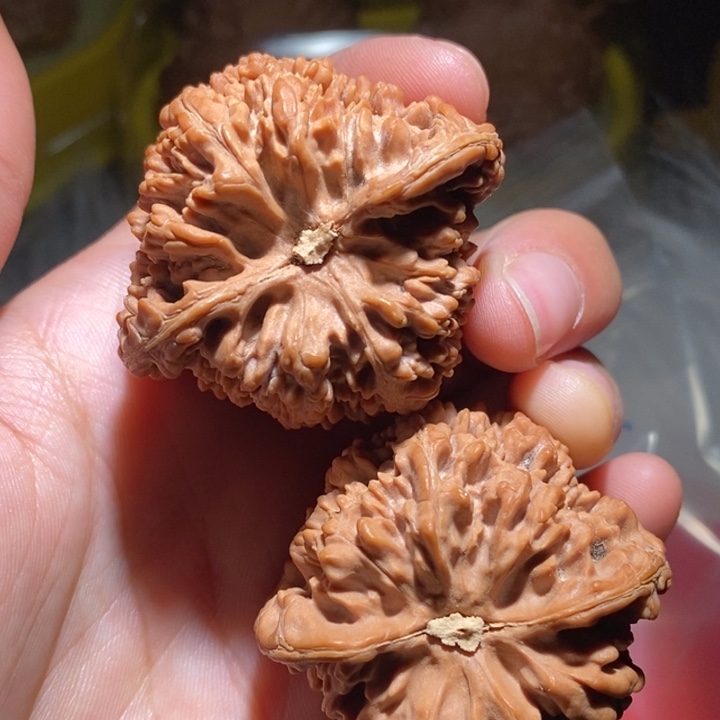 爱****文玩核桃吊坠精品课程的教学和