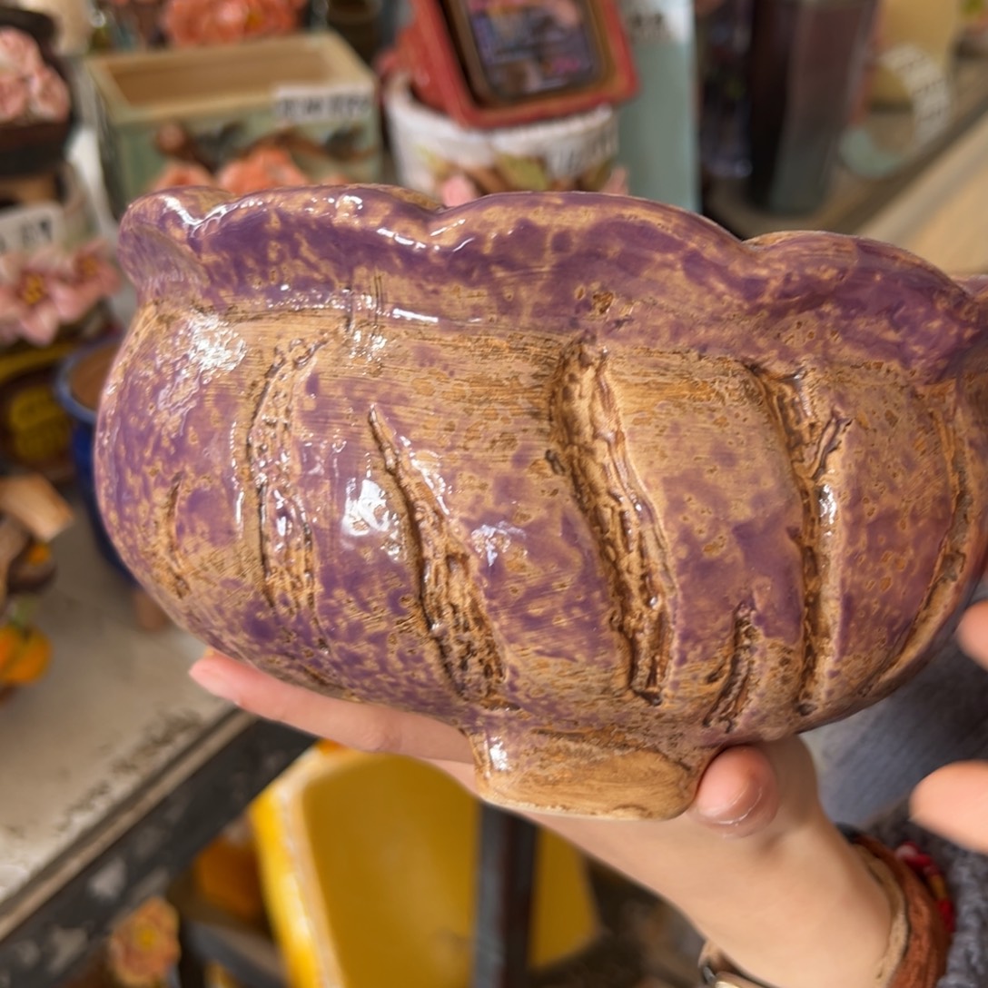 花盆，拍满20发货，退款拉黑