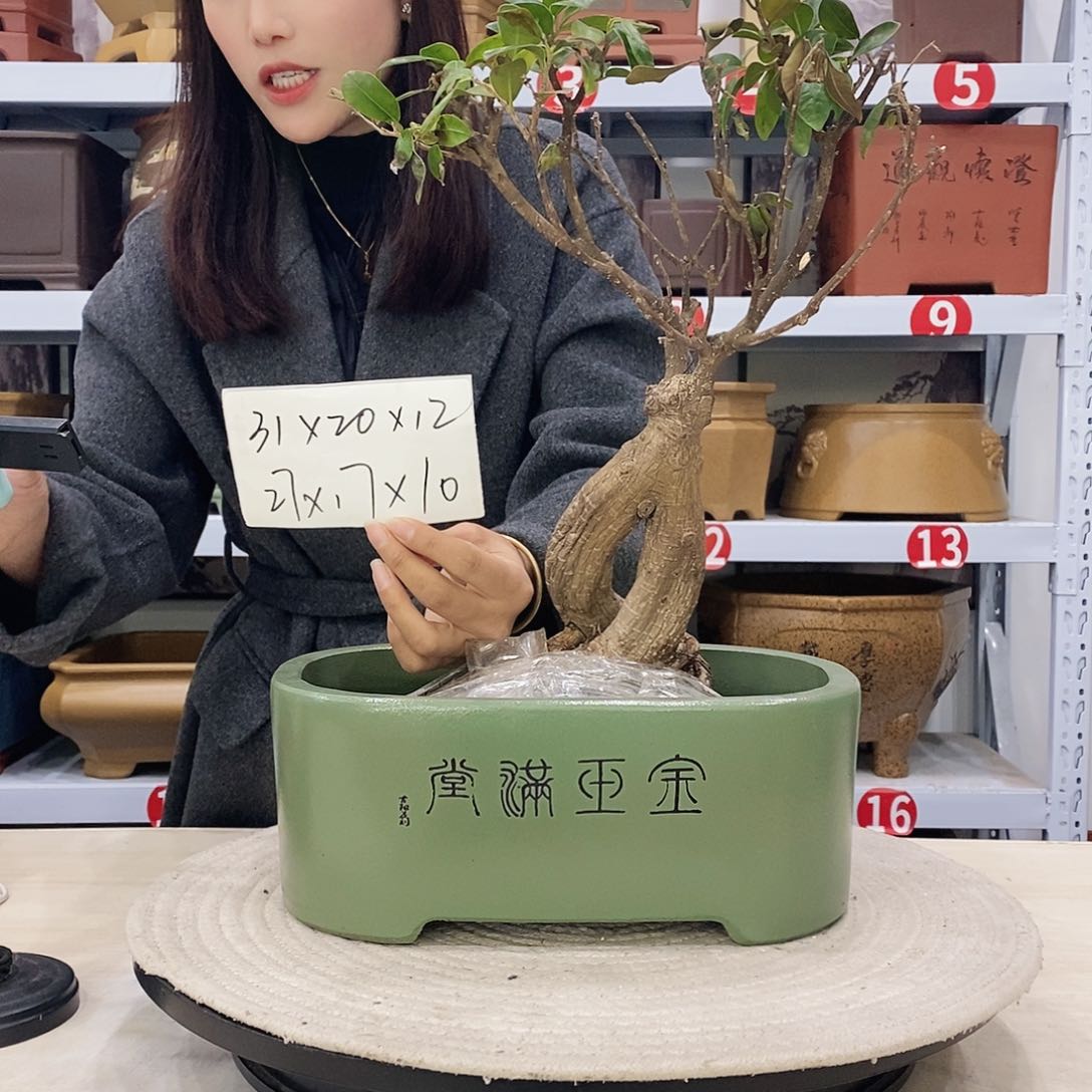 紫砂花盆紫砂花盆