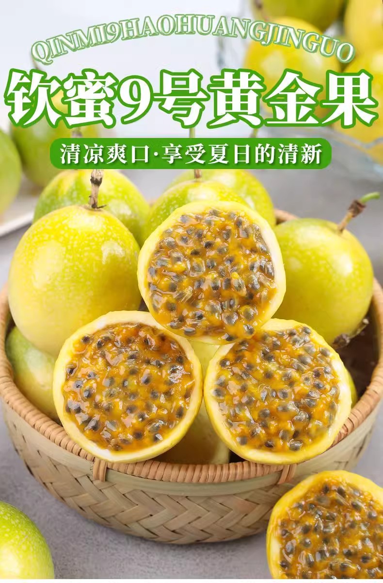 贵州钦密9号百香果