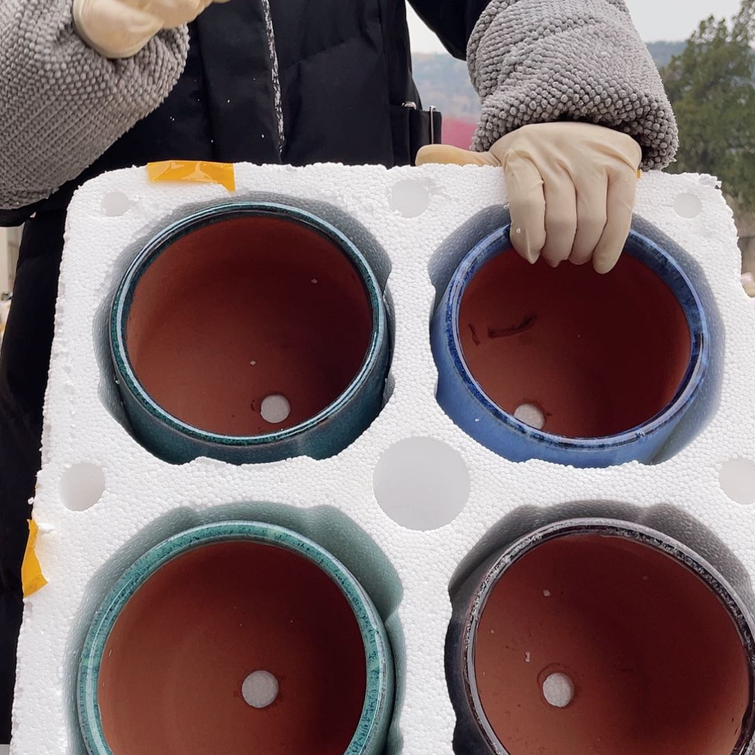 紫砂花盆王嫂花盆直播0305-337