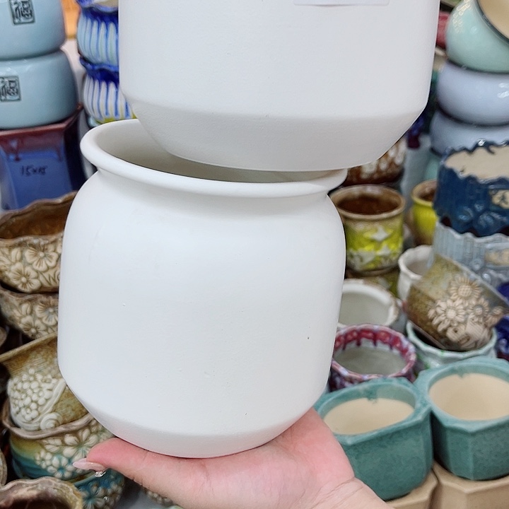 多肉植物陶瓷花盆